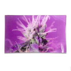 V Syndicate Glass Rollin' Tray Medium Pink Lemonade Glass Rollin' Tray
