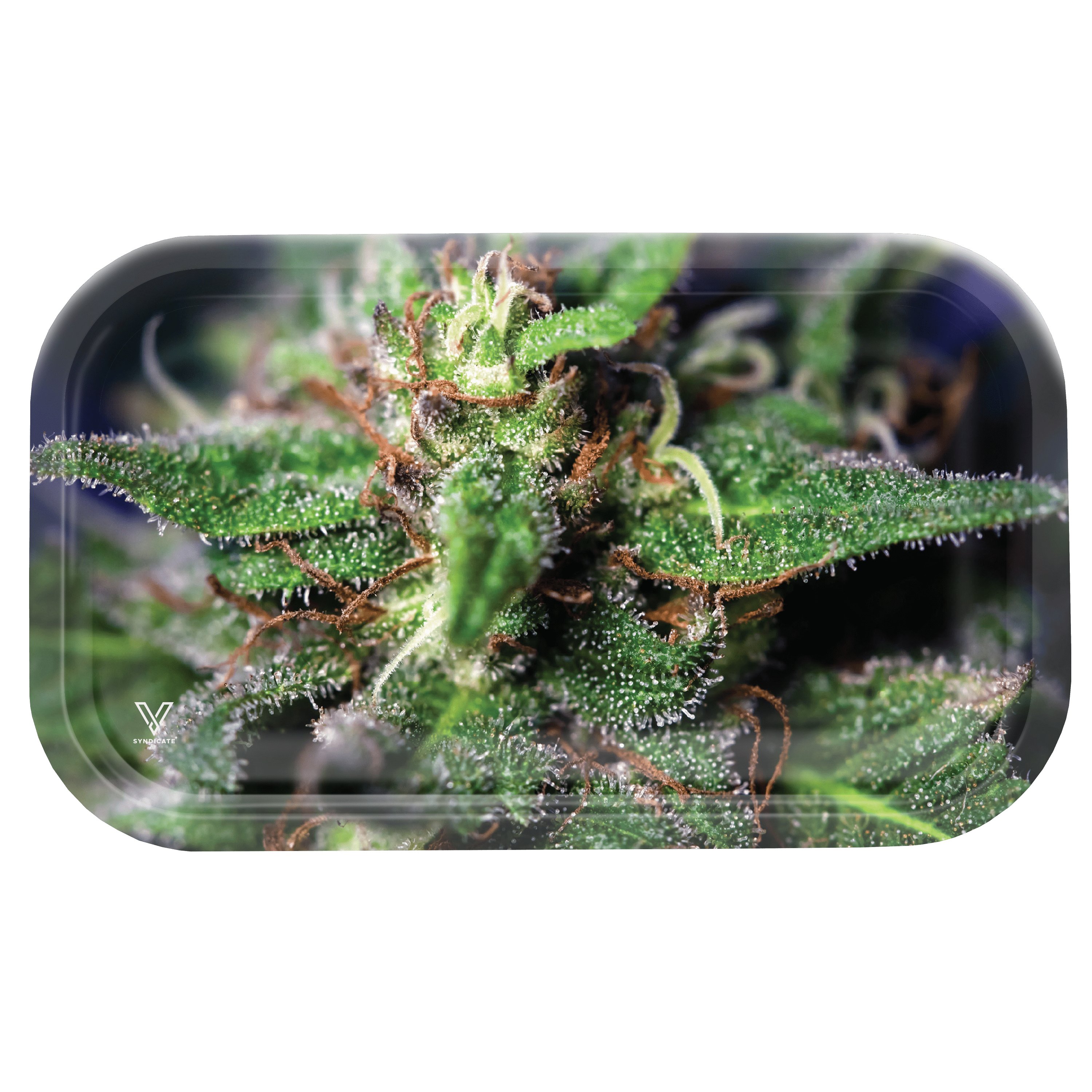 V Syndicate Rollin Trays Blue Dream Metal Rollin' Tray