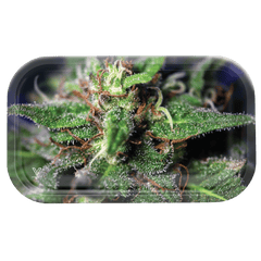 V Syndicate Rollin Trays Blue Dream Metal Rollin' Tray