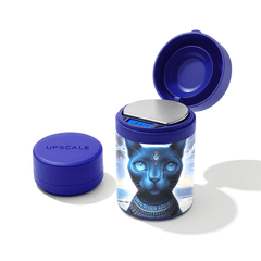 V Syndicate Feline Pharaoh Upscale