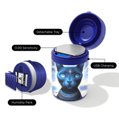 V Syndicate Feline Pharaoh Upscale