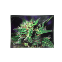 V Syndicate Glass Rollin' Tray Blue Dream Glass Rollin' Tray