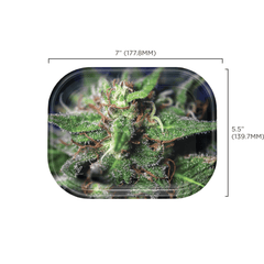 V Syndicate Rollin Trays Blue Dream Metal Rollin' Tray