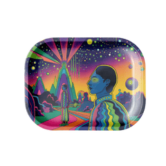 V Syndicate Rollin Trays Small Introspection Metal Rollin' Tray